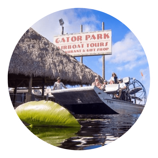 ES Kampları - Everglade Gator Park (1)