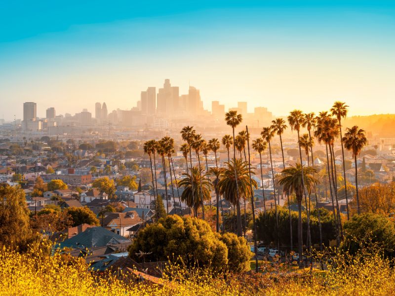 ES Camps - los angeles