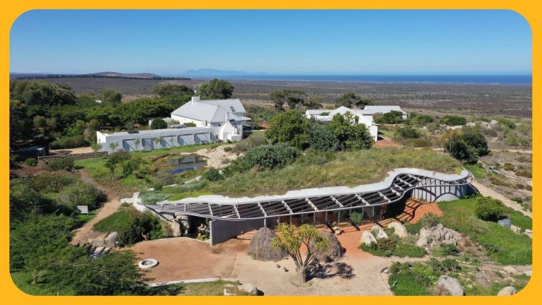 ES Camps - Visit Yas Waterworld Water Park with ES Camps camps d'été au Cap programmes scolaires d'été ES Camps au Cap