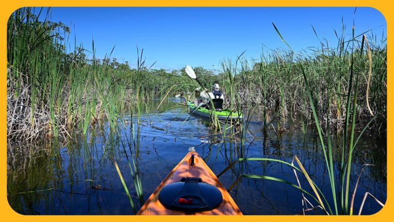 summer season summer school programs summer program