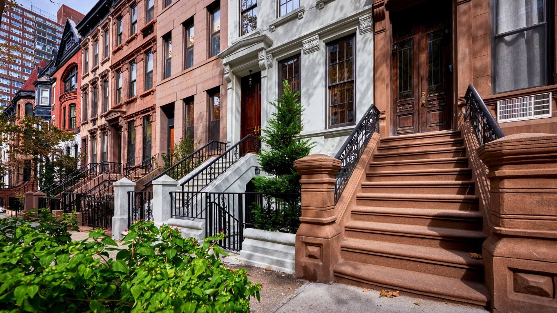 summer camp new york, new york city summer camps, camps in new york, camp new york city, summer camps, summer school, activities summer camp, english camps